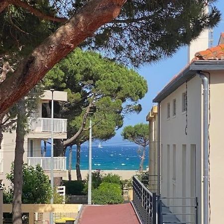 F3 Classe Meuble Tourisme "Gites De France" A 80 Metres De La Plage Argelès-sur-Mer Kültér fotó