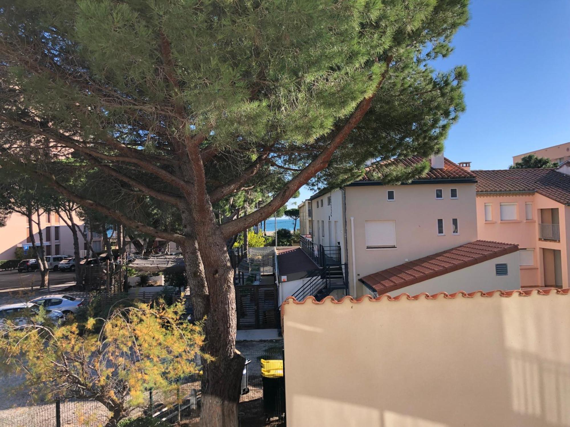 F3 Classe Meuble Tourisme "Gites De France" A 80 Metres De La Plage Argelès-sur-Mer Kültér fotó