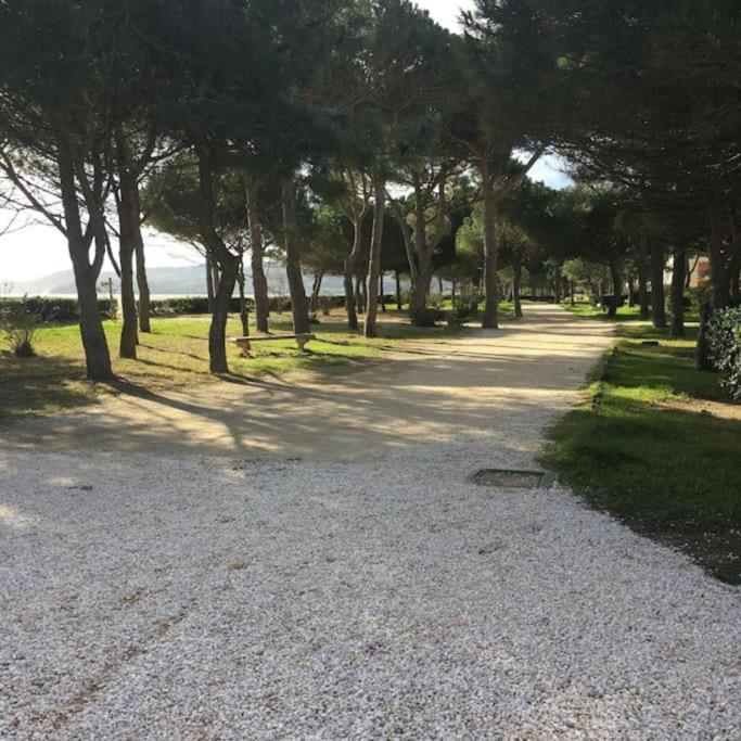 F3 Classe Meuble Tourisme "Gites De France" A 80 Metres De La Plage Argelès-sur-Mer Kültér fotó