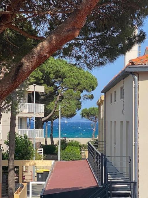 F3 Classe Meuble Tourisme "Gites De France" A 80 Metres De La Plage Argelès-sur-Mer Kültér fotó